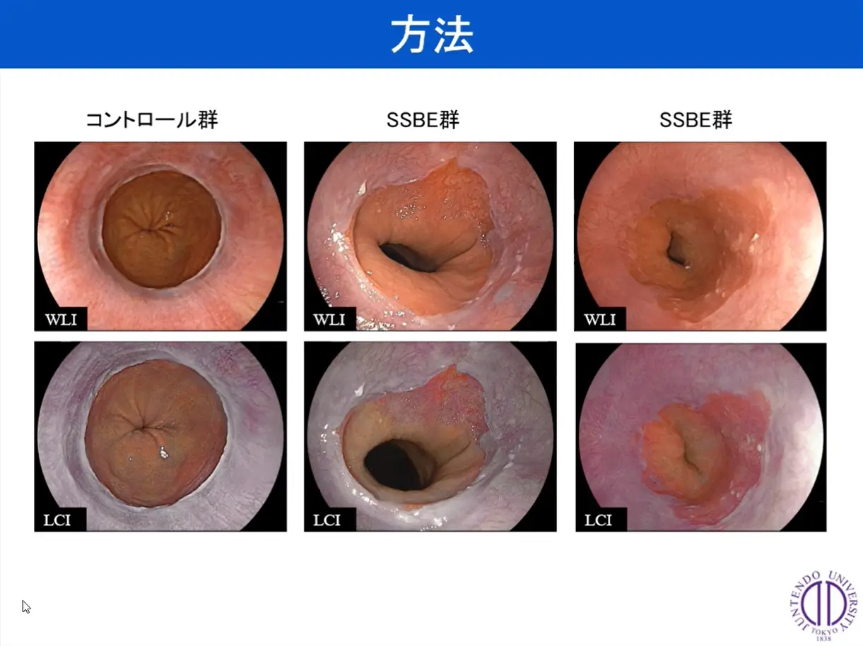 図1 今回使用した代表的な症例画像