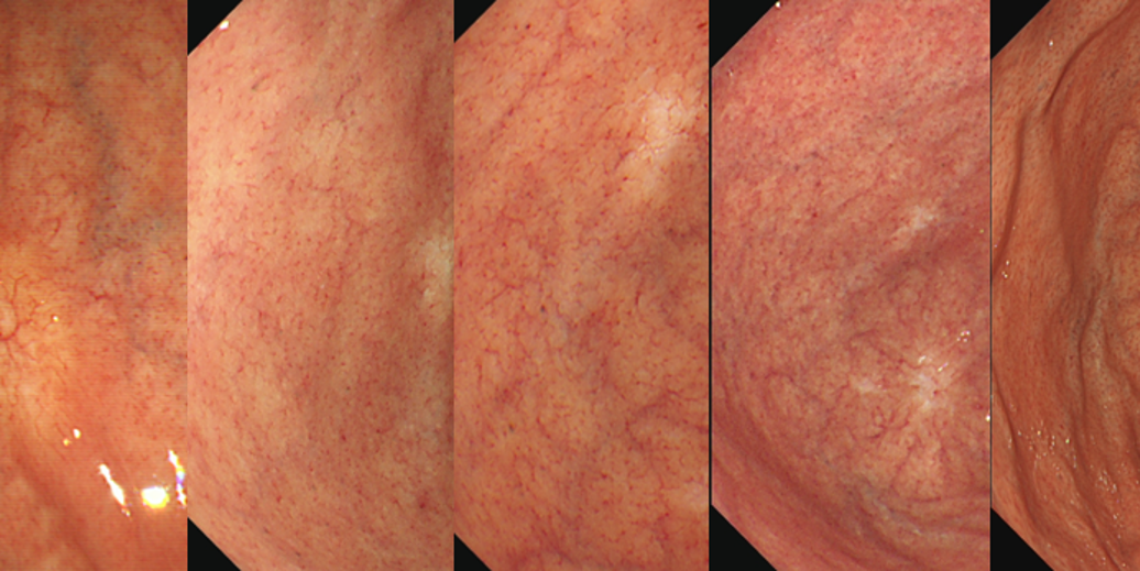 Column コラム一覧