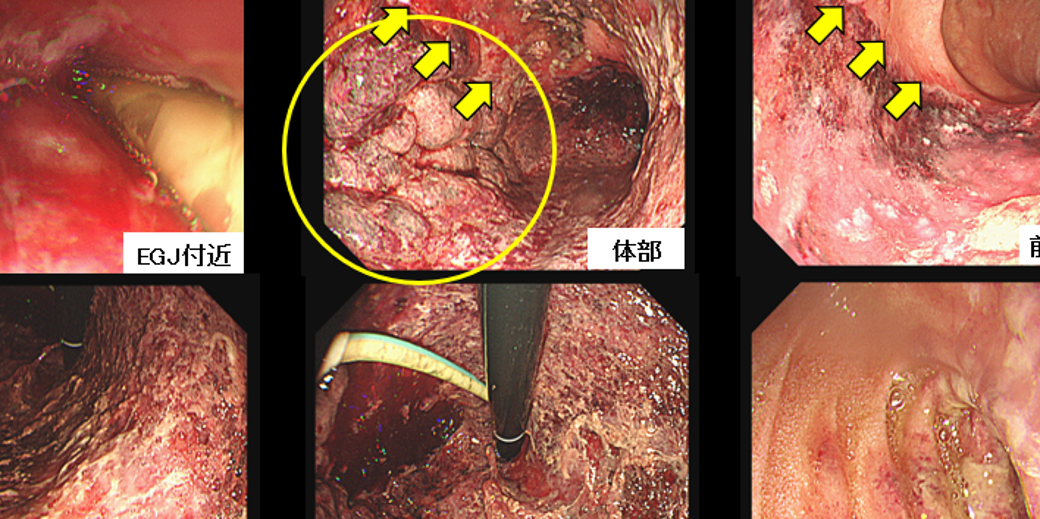 Column コラム一覧