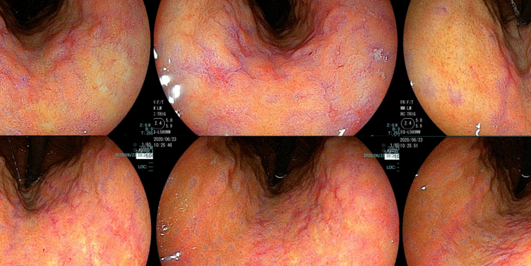 Column コラム一覧