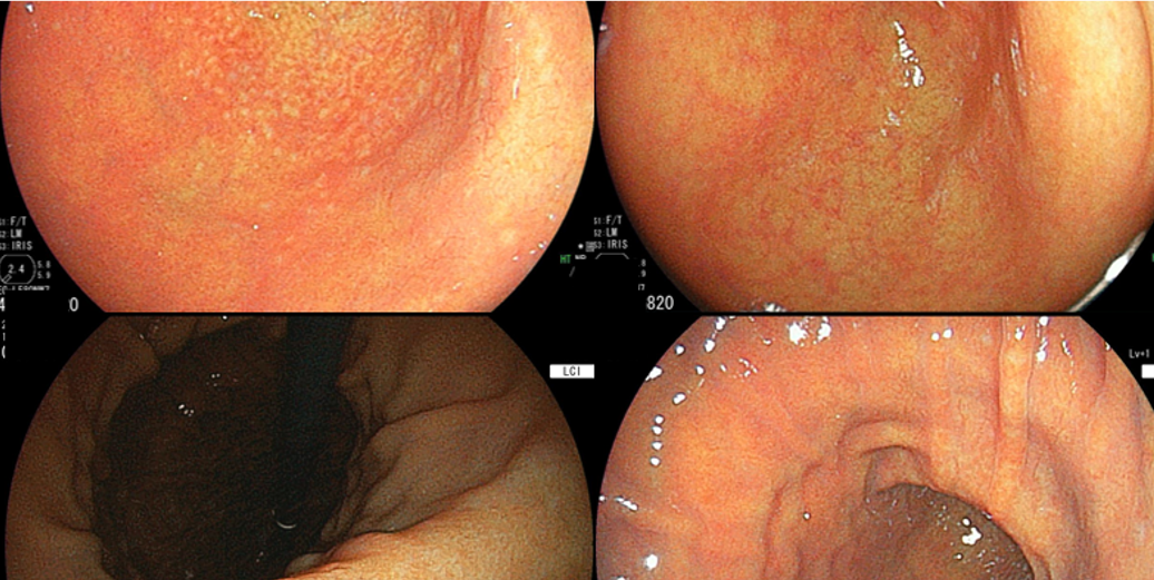 Column コラム一覧