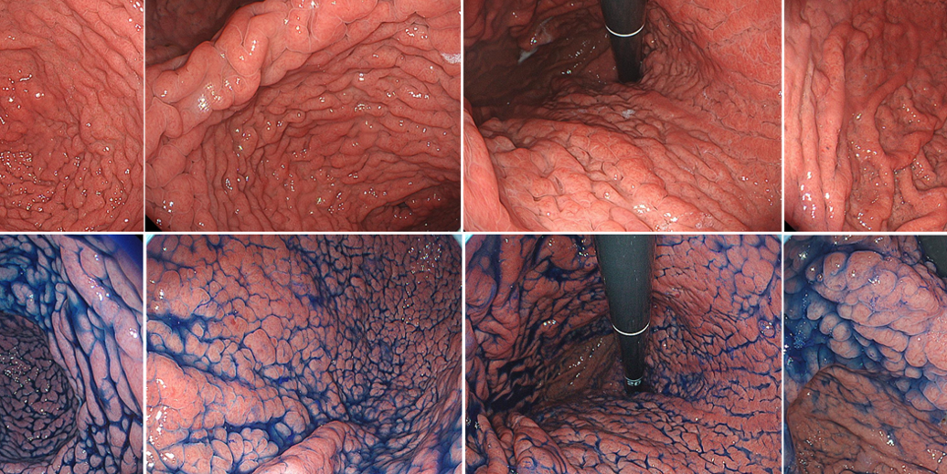 Column コラム一覧