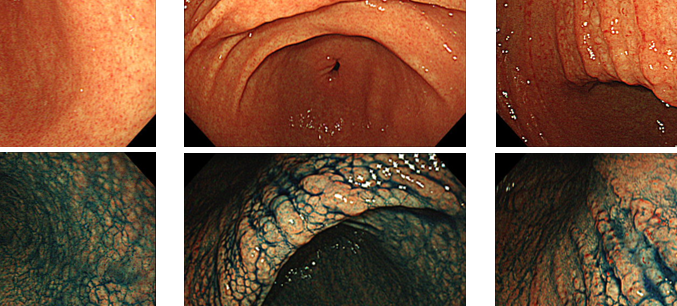 Column コラム一覧