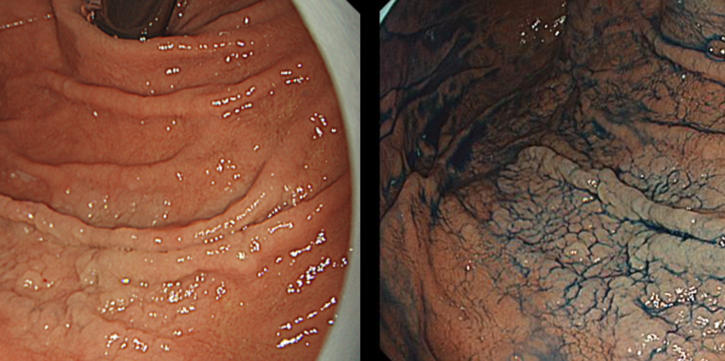 Column コラム一覧