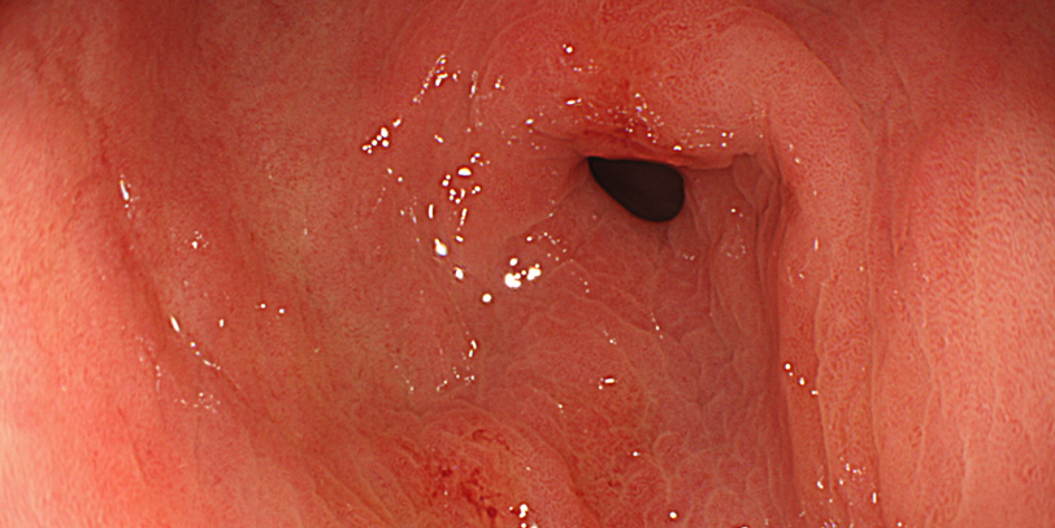 Column コラム一覧